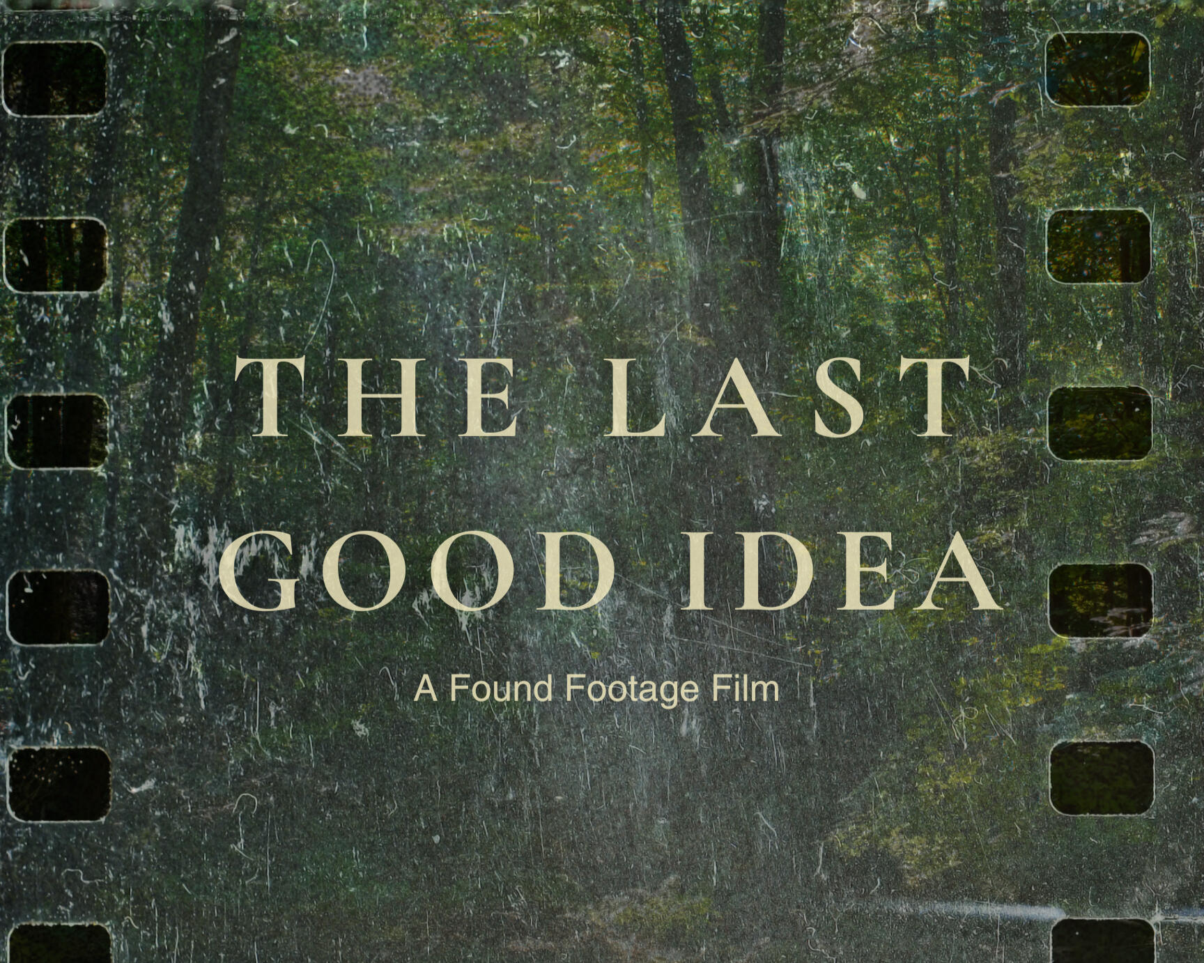 Forest background, film overlay and film grain